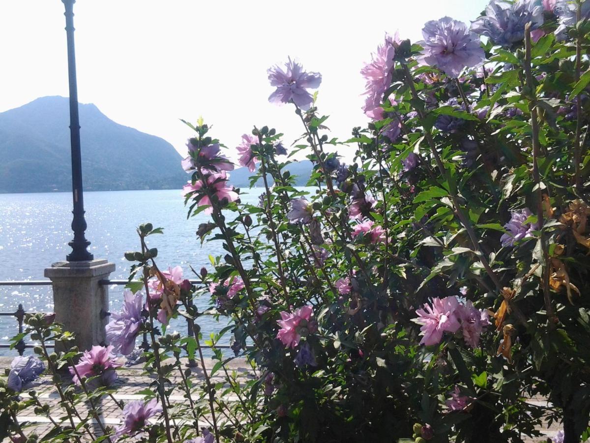 Lontani Da Casa Bed & Breakfast Borgofranco d'Ivrea ภายนอก รูปภาพ